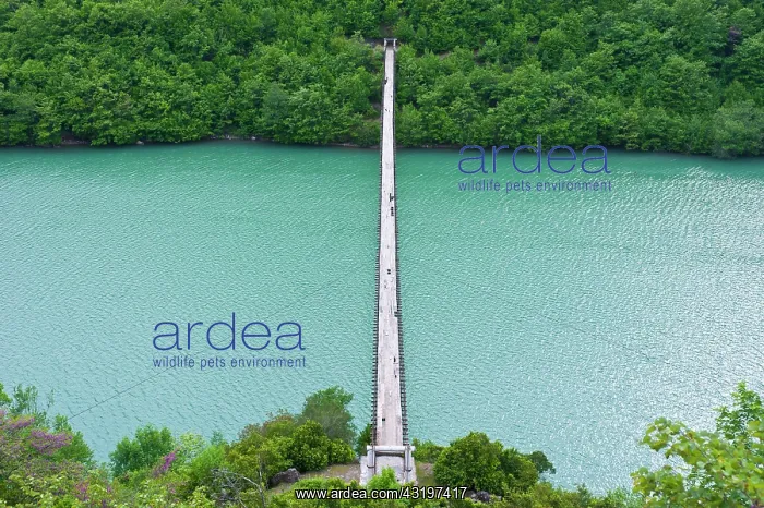 : Suspension bridge across the Black Drin River, Albania : Suspension bridge across the Black Drin River, Albania