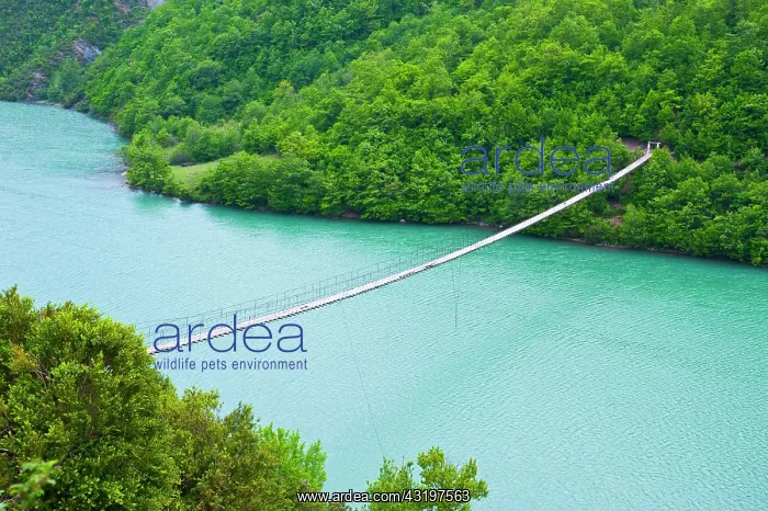 : Suspension bridge across the Black Drin River, Albania : Suspension bridge across the Black Drin River, Albania