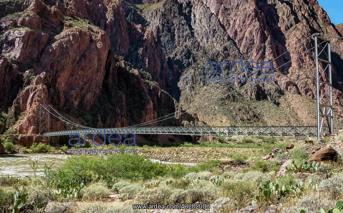 : Suspension Bridge of the Bright Angel Trail over : Suspension Bridge of the Bright Angel Trail over