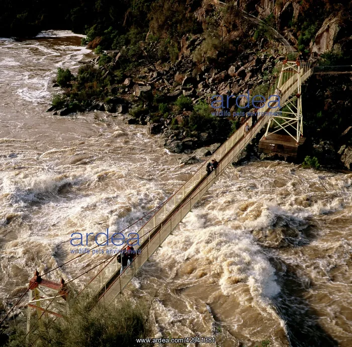 : The Suspension Bridge at Cataract Gorge, moderate : The Suspension Bridge at Cataract Gorge, moderate