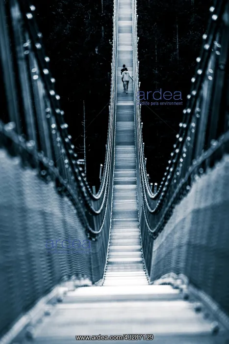 : Suspension bridge Highline 179, Reutte, Tyrol, Austria : Suspension bridge Highline 179, Reutte, Tyrol, Austria