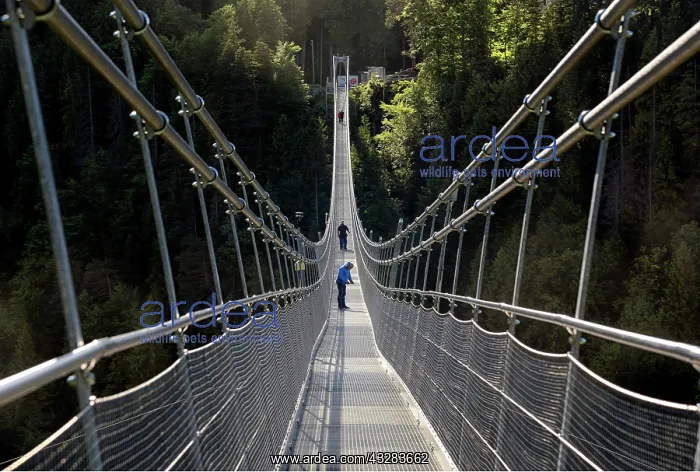 : Suspension bridge Highline 179, near Reutte, Tyrol : Suspension bridge Highline 179, near Reutte, Tyrol