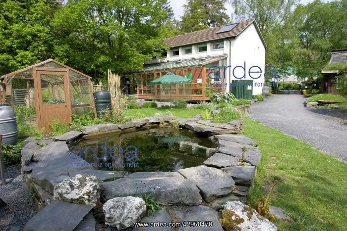 : Sustainable house and garden : Sustainable house and garden