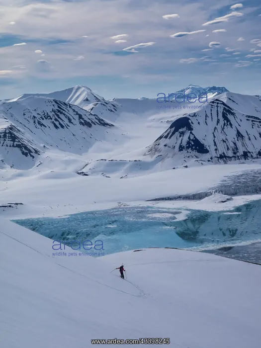 : Svalbard, Norway. Guide and skier enjoys a pristine : Svalbard, Norway. Guide and skier enjoys a pristine