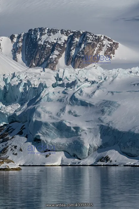 : Svalbard, Norway. Landscape of mountain, glacier : Svalbard, Norway. Landscape of mountain, glacier