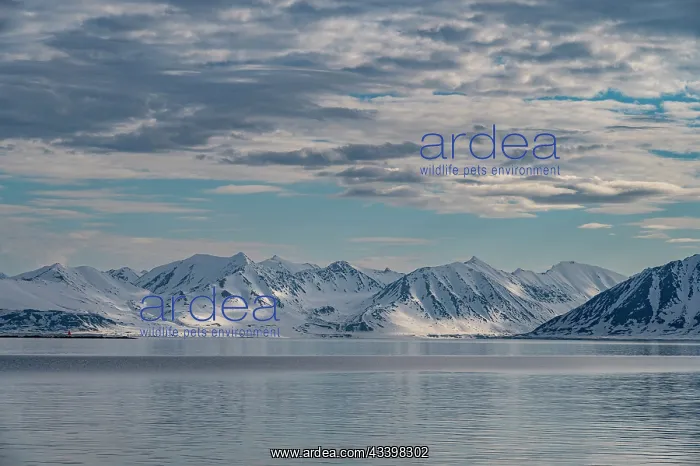 : Svalbard, Norway. Landscape of mountain, water and : Svalbard, Norway. Landscape of mountain, water and