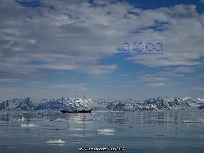  : Svalbard, Norway. Rembrandt sailboat anchored in