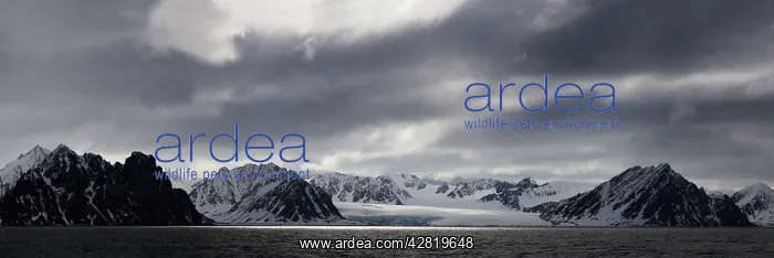 : Svalbard (Spitsbergen) Landscape : Svalbard (Spitsbergen) Landscape