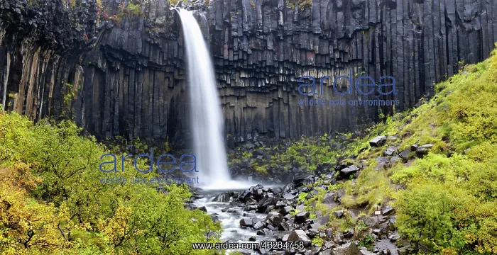 : Svartifoss (Black Fall), a 20m waterfall : Svartifoss (Black Fall), a 20m waterfall