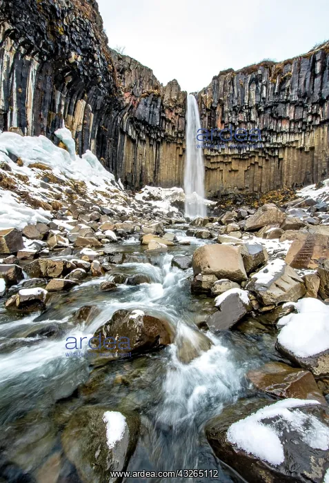 : Svartifoss Waterfall, Black Falls, River St&, xf2a6c;&, x6af5; : Svartifoss Waterfall, Black Falls, River St&, xf2a6c;&, x6af5;