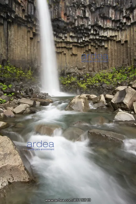 : Svartifoss waterfall close up : Svartifoss waterfall close up
