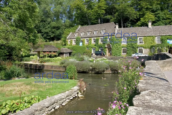 : Swan Hotel by River Coln at Bibury : Swan Hotel by River Coln at Bibury