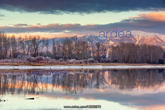 : Swan Mountains reflect into the Flathead : Swan Mountains reflect into the Flathead