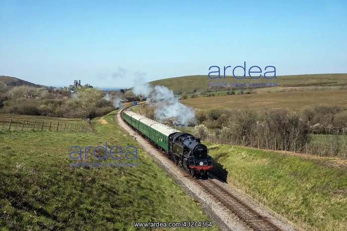 : Swanage Steam Railway - Corfe Castle Beyond - Dorset - UK : Swanage Steam Railway - Corfe Castle Beyond - Dorset - UK