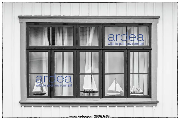  : Sweden, Bohuslan, Fjallbacka, village house detail