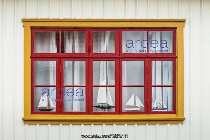 : Sweden, Bohuslan, Fjallbacka, village house detail : Sweden, Bohuslan, Fjallbacka, village house detail
