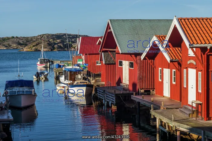  : Sweden, Bohuslan, Kungshamn, red fishing shacks