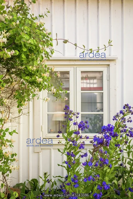 : Sweden, Bohuslan, Smogen, house detail : Sweden, Bohuslan, Smogen, house detail