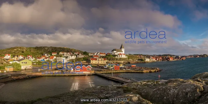 : Sweden, Bohuslan, Tjorn Island, Skarhamn, town skyline : Sweden, Bohuslan, Tjorn Island, Skarhamn, town skyline