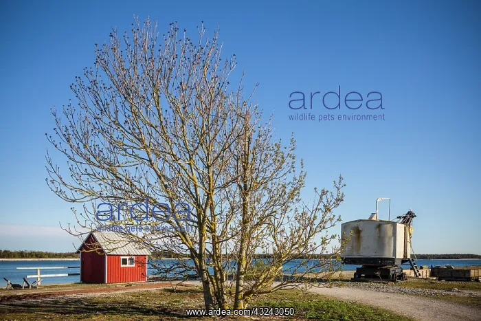 : Sweden, Gotland Island, Blase, former lime factory : Sweden, Gotland Island, Blase, former lime factory