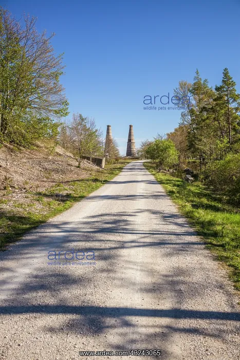 : Sweden, Gotland Island, Bungenas, former chalk mine : Sweden, Gotland Island, Bungenas, former chalk mine