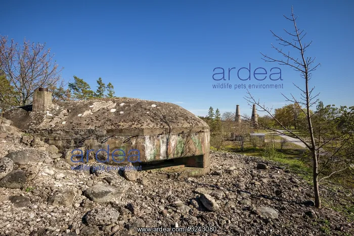  : Sweden, Gotland Island, Bungenas, former chalk mine