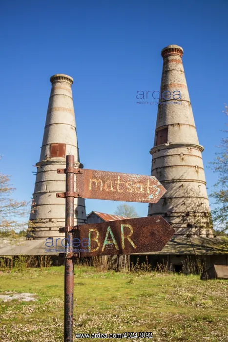 : Sweden, Gotland Island, Bungenas, former chalk mine : Sweden, Gotland Island, Bungenas, former chalk mine