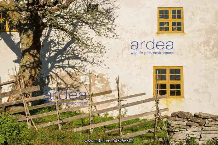 : Sweden, Gotland Island, Fleringe, exterior farm : Sweden, Gotland Island, Fleringe, exterior farm