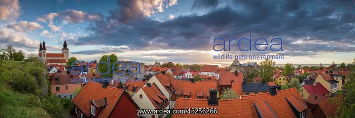 : Sweden, Gotland Island, Visby, Visby Cathedral : Sweden, Gotland Island, Visby, Visby Cathedral