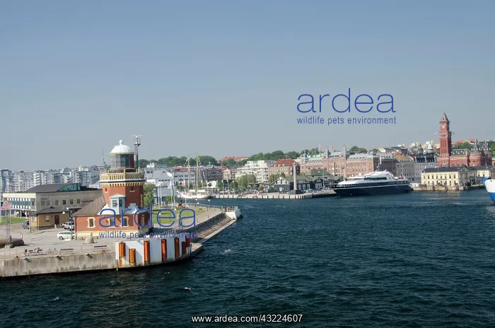 : Sweden, Helsingborg. Waterfront port area : Sweden, Helsingborg. Waterfront port area
