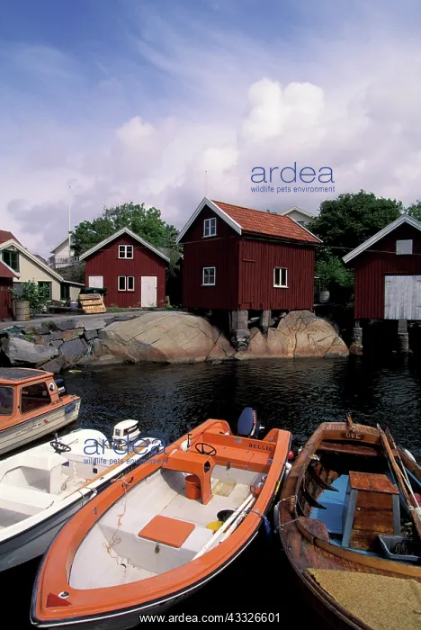 : Sweden, Hohusland region, Tjorn. Fishing : Sweden, Hohusland region, Tjorn. Fishing