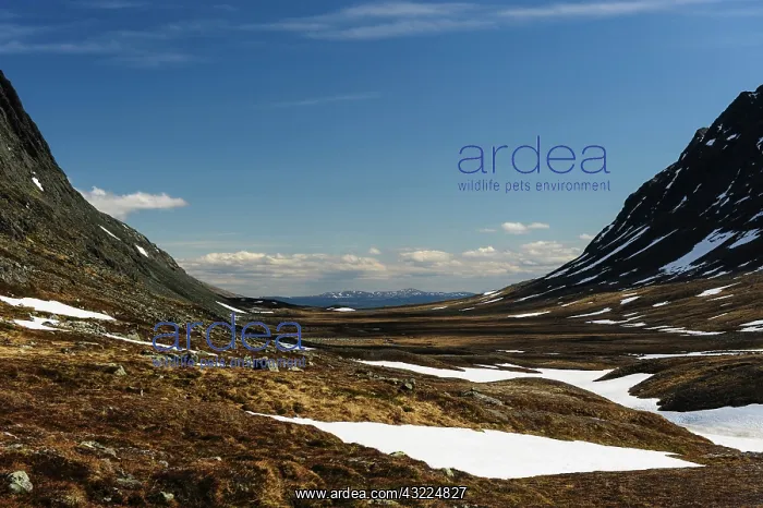 : Sweden, Jamtland, Lunndorrsfjallen. View : Sweden, Jamtland, Lunndorrsfjallen. View