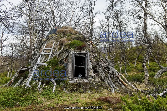 : Sweden, Jamtland, Valadalen Nature Preserve : Sweden, Jamtland, Valadalen Nature Preserve