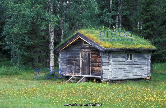 : Sweden, Lapland. Sami Home : Sweden, Lapland. Sami Home