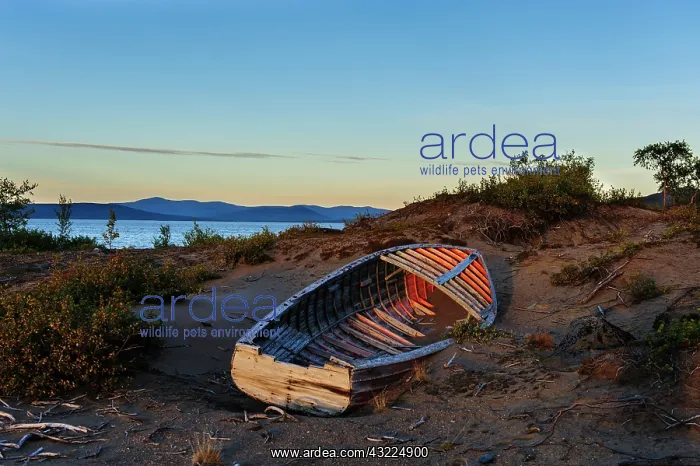 : Sweden, Norrboten. Old wooden boat along : Sweden, Norrboten. Old wooden boat along