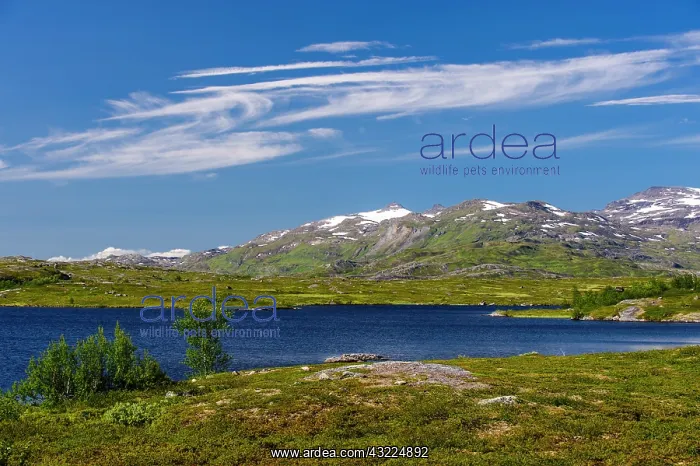 : Sweden, Norrbotten. Alpine lake and high : Sweden, Norrbotten. Alpine lake and high