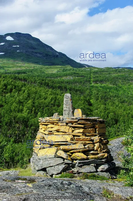  : Sweden, Norrbotten. Border marker No. 272