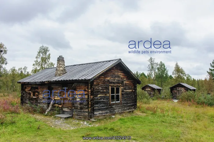 : Sweden, Norrbotten. Old farm house along : Sweden, Norrbotten. Old farm house along