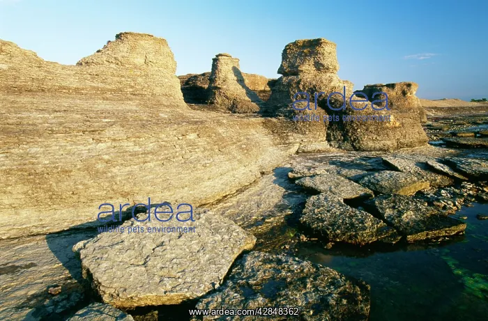 : SWEDEN - Oland : SWEDEN - Oland