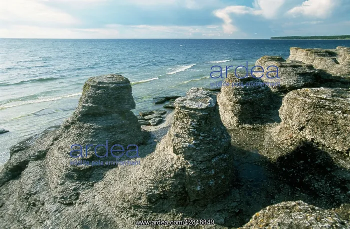  : Sweden - Oland, East Coast