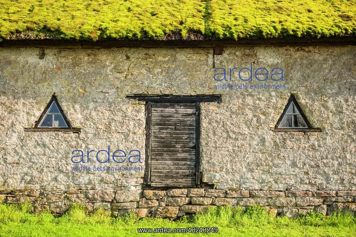 : Sweden, Oland Island, Himmelsberga, antique farm building : Sweden, Oland Island, Himmelsberga, antique farm building