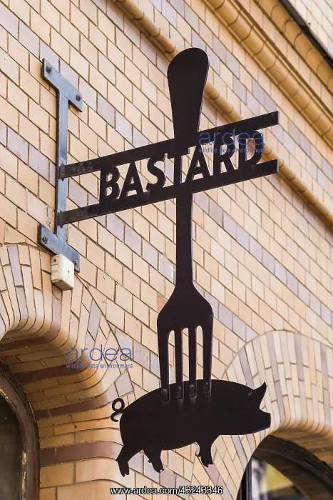 : Sweden, Scania, Malmo, Lilla Torg square area, sign : Sweden, Scania, Malmo, Lilla Torg square area, sign