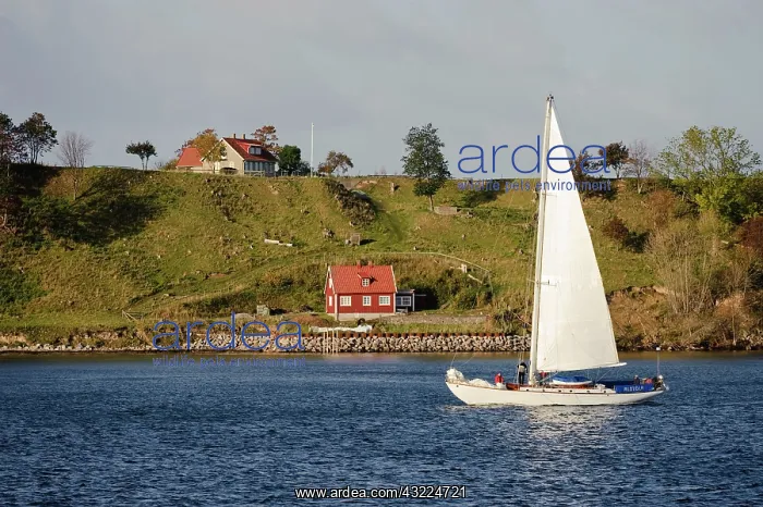 : Sweden, Skane, Isle of Ven. Sailboat passing : Sweden, Skane, Isle of Ven. Sailboat passing