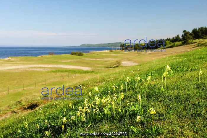 : Sweden, Skane, Simrishamn, Verkeans Nature : Sweden, Skane, Simrishamn, Verkeans Nature