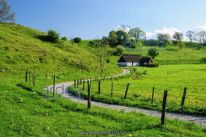 : Sweden, Skane, Simrishamn, Verkeans Nature : Sweden, Skane, Simrishamn, Verkeans Nature