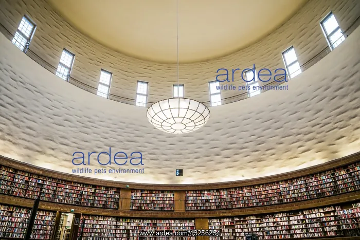 : Sweden, Stockholm, City Library, circular interior : Sweden, Stockholm, City Library, circular interior