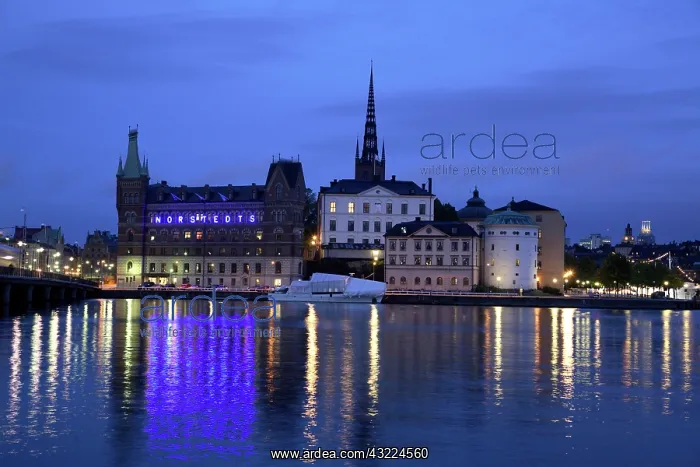 : Sweden. Stockholm. The night view of Riddarholmen : Sweden. Stockholm. The night view of Riddarholmen