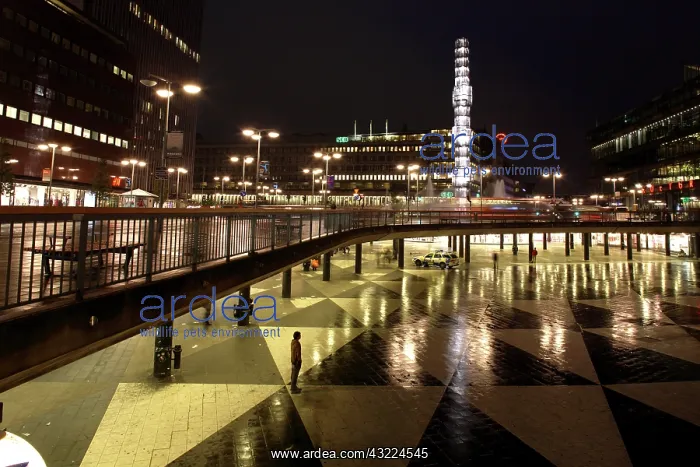 : Sweden. Stockholm. The night view of Sergelstorg : Sweden. Stockholm. The night view of Sergelstorg