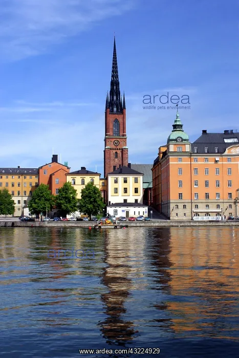 : Sweden, Stockholm. A spire of the cityscape : Sweden, Stockholm. A spire of the cityscape