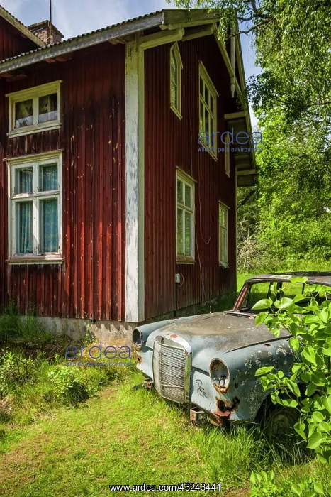 : Sweden, Varmland, Bastnas, Bastnas Car Cemetery : Sweden, Varmland, Bastnas, Bastnas Car Cemetery